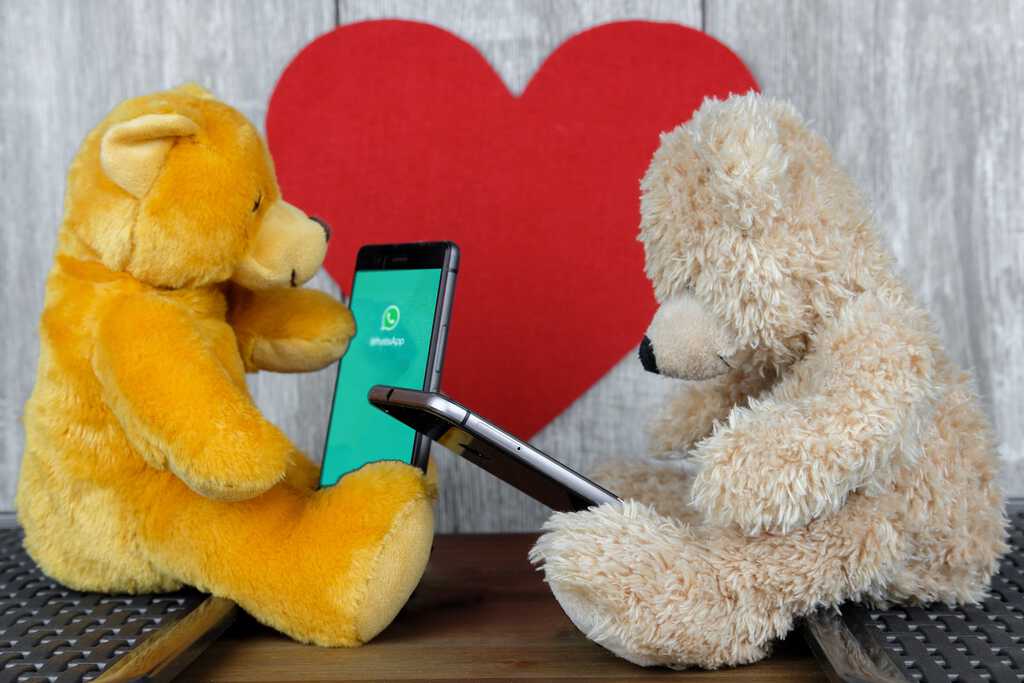 NIEUWE GENERATIE, Teddybeer, Knuffelbeer, Knuffelbeest, Knuffeldier, DIYKNUFFEL, DIY-KNUFFEL, Knuffel-Maken, Knuffelmaken, Zelf-Knuffel-Maken, Knuffelwinkel, knuffelstore, knuffelshop, onlineknuffelwinkel, online-Knuffelwinkel, Make-your-Teddy, Teddy-Mountain,