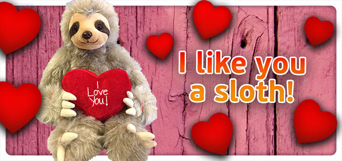 I like you a sloth, Teddybeer, Knuffelbeer, Knuffelbeest, Knuffeldier, DIYKNUFFEL, DIY-KNUFFEL, Knuffel-Maken, Knuffelmaken, Zelf-Knuffel-Maken, Knuffelwinkel, knuffelstore, knuffelshop, onlineknuffelwinkel, online-Knuffelwinkel, Make-your-Teddy, Teddy-Mountain,