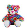 0162_rainbows_teddybeer_1_Make-Your-Teddy_KidsWorkshop