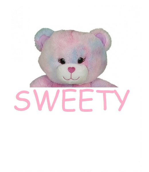 Sweety_de Teddybeer_Vul-Knuffel_Make-Your-Teddy_KidsWorkshop_TED2596_2