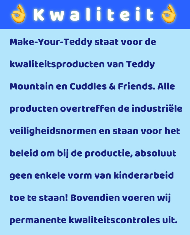 Kwaliteit_Make-Your-Teddy_KidsWorkshop
