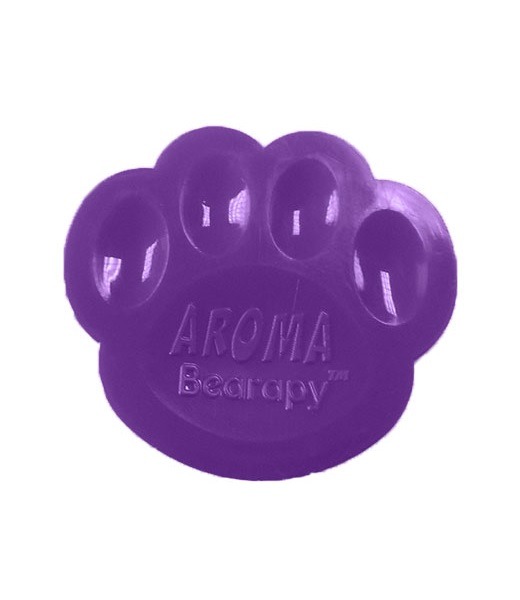 Grape Candy AromaBearapy_TED0067912406184_Make-Your-Teddy_KidsWorkshop_2