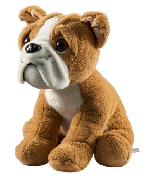 Buddy de Bulldog_TED0070016182675_Make-Your-Teddy_KidsWorkshop