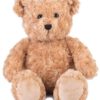 Zittende lichtbruine teddybeer met krullende vacht op witte achtergrond.
