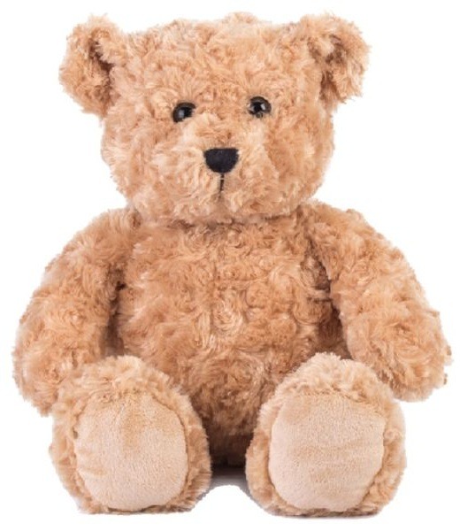 Zittende lichtbruine teddybeer met krullende vacht op witte achtergrond.